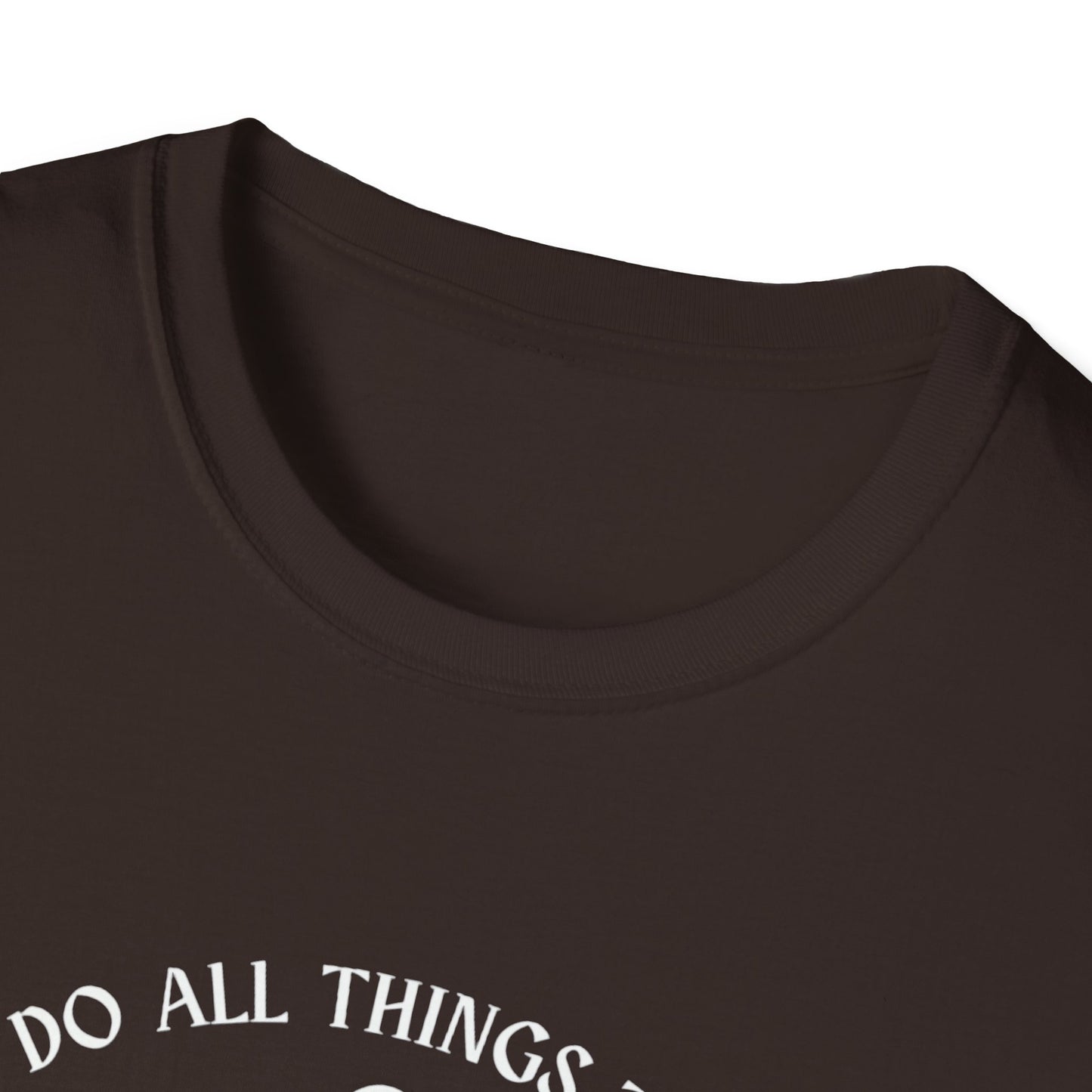 PHIL 4:13 Unisex Softstyle T-Shirt